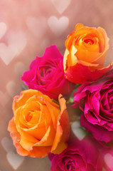 Pink and purple roses with hearts background. Valentine's day co