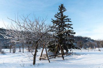 Winter swing