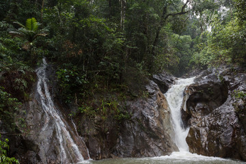 Phang Nga, Thailand. Ton Pariwat Waterfall. Green plants in the jungle after rain