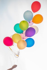 Hand holding colorful balloon bunch on white background.