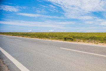 Fototapeta premium Road on a summer day with blue sky.