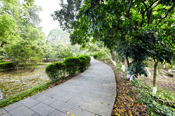 Beautiful country views, the gateway to the house