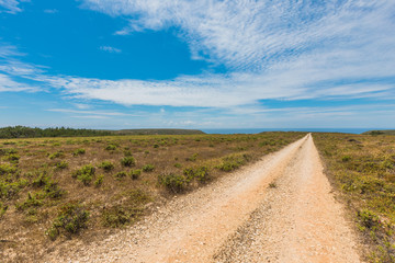 Fototapeta na wymiar Isolated dirt road in Portugal