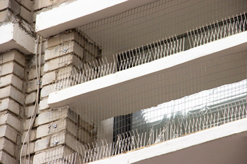 part of the facade of the building with plastic spikes against pigeons. the design does not allow birds to sit down and shit. Vertical plastic spikes in two rows keep the house from pigeon droppings.