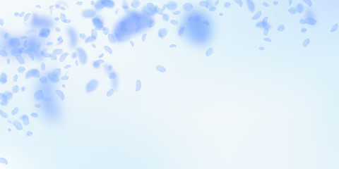 Dark blue flower petals falling down. Ideal romant