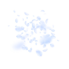 Light blue flower petals falling down. Overwhelmin