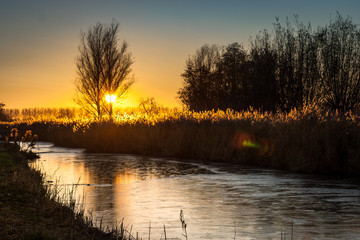 The sun sets behind a tree over the dutch countryside near Gouda. The frozen water in the canal reflects the colors of the sky.