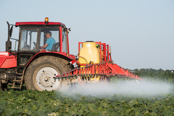 Farmer on a tractor with a sprayer makes fertilizer for young vegetable