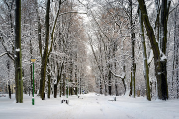 Park Planty zasypany śniegiem, Białystok, Polska © podlaski49