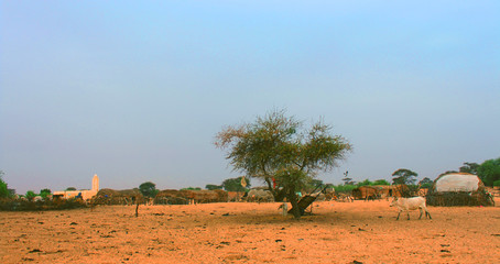 African village - Image