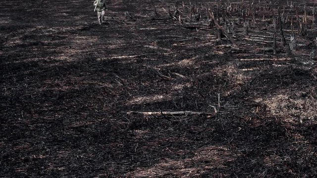 Earth after a fire/Natural disaster. A man with a bottle of water walks along the land burned by fire. There are dead trees, burned grass around him. It's an ecological catastrophe