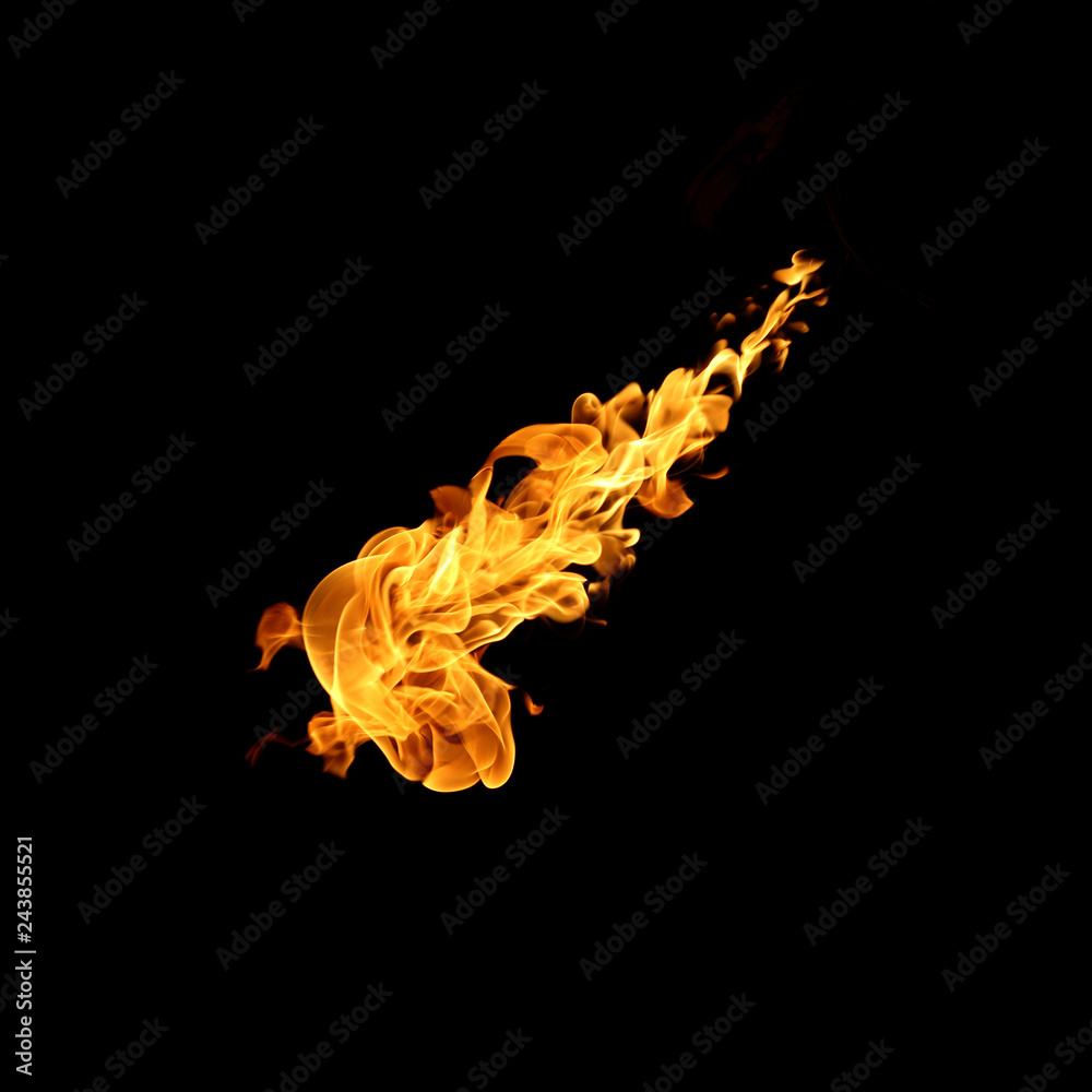 Wall mural fire flames collection isolated on black background