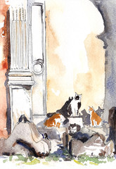 Italian cats in roman ruins ink and watercolor sketch