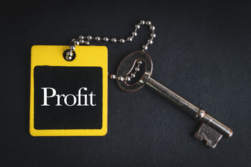 PROFIT inscription written on wooden tag and key on black background with selective focus and crop fragment. Business and education concept