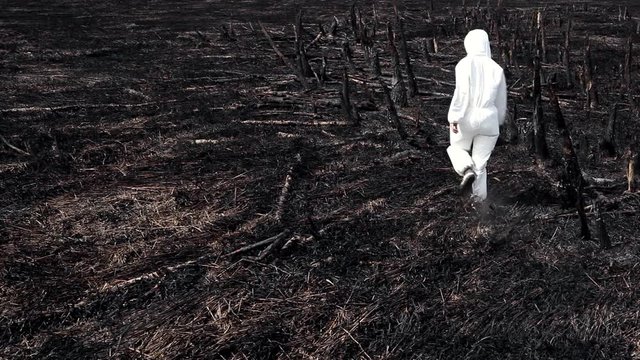 Earth after a fire/Natural disaster. A woman walks along the land burned by fire. There are dead trees, burned grass around her. It's an ecological catastrophe
