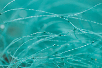 Macro photograph of green fishing net
