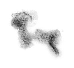 black watercolor splash isolated on white background, for text, banner, card, invitation, design for tag and label, logo, brand. color like gray, grey  © wrongorright