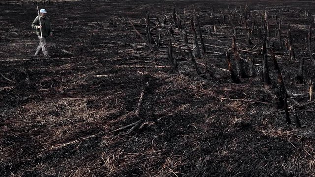 Earth after a fire/Natural disaster. A man with a bottle of water walks along the land burned by fire. There are dead trees, burned grass around him. It's an ecological catastrophe