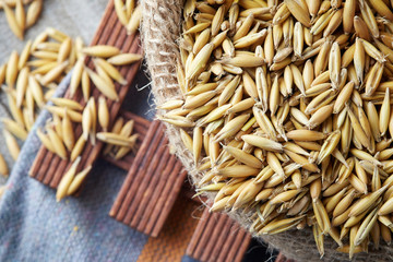Oat seeds (Avena sativa) also known as the common oat in burlap sack