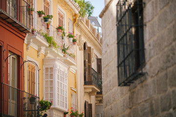 Street of Malaga Spain