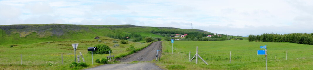 Fototapeta na wymiar The road to the farm in Iceland