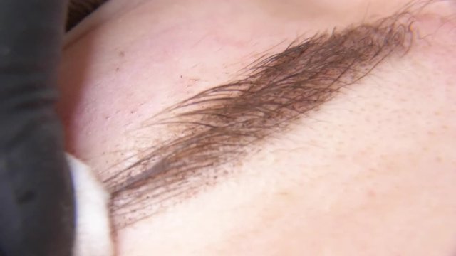 Permanent makeup. Permanent tattooing of eyebrows. Cosmetologist applying permanent make up on eyebrows- eyebrow tattoo.