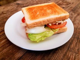 sandwich vegetal
