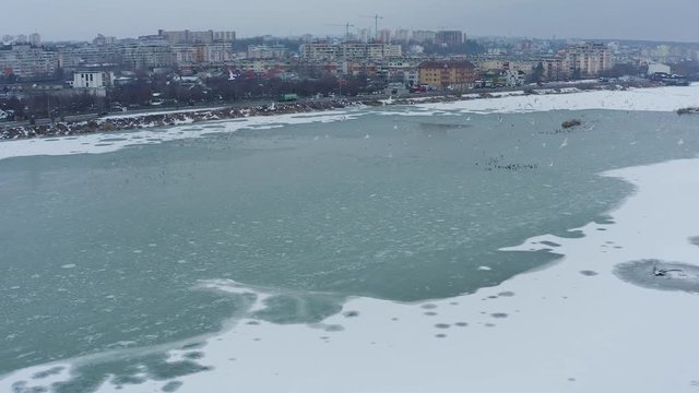 Air view with various birds of the Pitesti lake on the Arges river