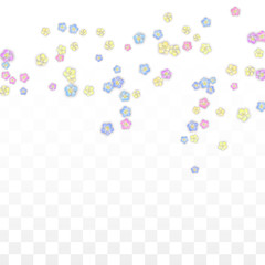 Colorful Vector Realistic Petals Falling on Transparent Background.  Spring Romantic Flowers Illustration. Flying Petals. Sakura Spa Design. Blossom Confetti. Design Elements for Wedding Decoration.