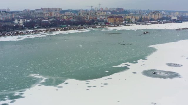 Air view with various birds of the Pitesti lake on the Arges river