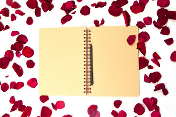 Rose flower and petals on empty page notebook isolated on white. Top view. Copy space for text. Feminine concept. Mock up top view