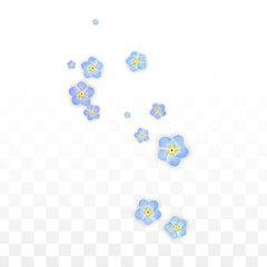 Vector Realistic Blue Flowers Falling on Transparent Background.  Spring Romantic Flowers Illustration. Flying Petals. Sakura Spa Design. Blossom Confetti. Design Elements for Wedding Decoration.