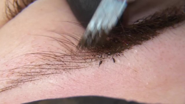 Permanent makeup. Permanent tattooing of eyebrows. Cosmetologist applying permanent make up on eyebrows- eyebrow tattoo.