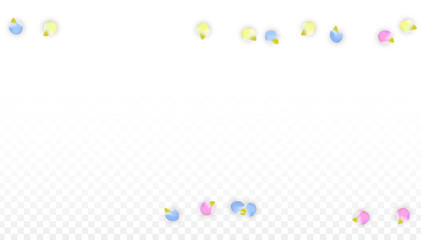 Vector Realistic Colorful Petals Falling on Transparent Background.  Spring Romantic Flowers Illustration. Flying Petals. Sakura Spa Design. Blossom Confetti. Design Elements for Wedding Decoration.