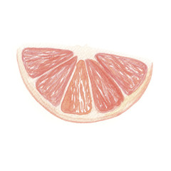 Watercolor grapefruit, drawing of a slice of grapefruit, hand-painted in watercolor, watercolor illustration on a white background for your design