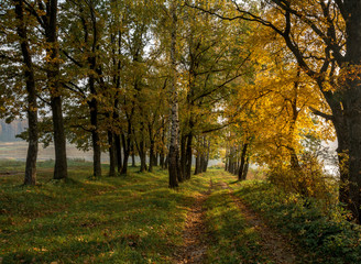Naklejka premium Autumn landscape.