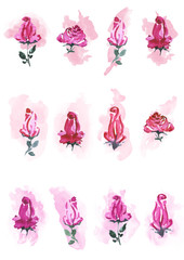 Watercolor hand drawn roses buds and flowers variety pattern. Isolated floral illustration on white background.
