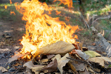 Flames from burning waste, dry leaves cause smoke, dust, air pollution causes. Concepts of airborne...