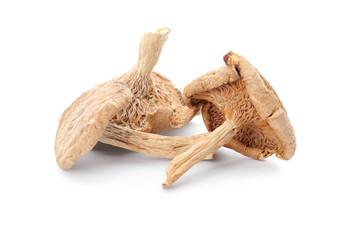Delicious organic dried mushrooms on white background