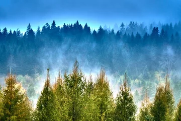 Printed kitchen splashbacks Forest in fog A beautiful mysterious view of the forest in the Bieszczady mountains (Poland) on a misty autumn day