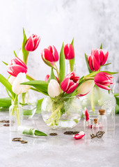 Pink and white tulips in glass vases on the light gray background. A gift for woman's day. Greeting card for mother's day.