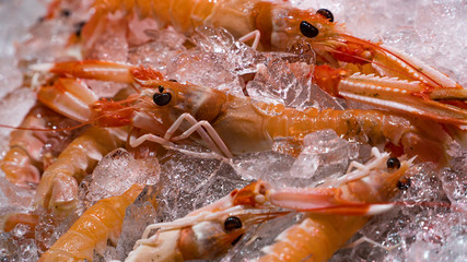Obraz na płótnie Canvas Pink fresh frozen shrimps with ice in a supermarket or fish shop. Uncooked seafood close up background. Fresh frozen prawns, delicacies, sea food concept, close up.