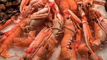 Pink fresh frozen shrimps with ice in a supermarket or fish shop. Uncooked seafood close up background. Fresh frozen prawns, delicacies, sea food concept, close up.