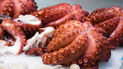 Fresh seafood, octopus on fisher table on market. Fresh seafood from the local market. © merlin74