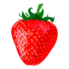 Ripe berry a strawberry on a white background - Vector illustration