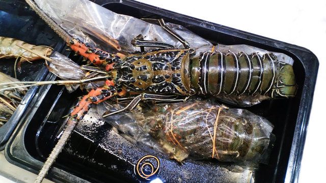 Fresh langust in plate  at the supermarket