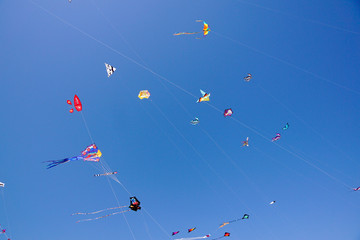 Various Colorful Kites Flying in a Bright Blue Sky