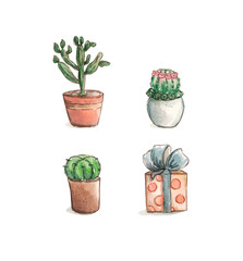 green cactus and gift set illustration drawing