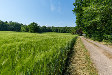 Foto 2018 von www.ChristianSchwier.de