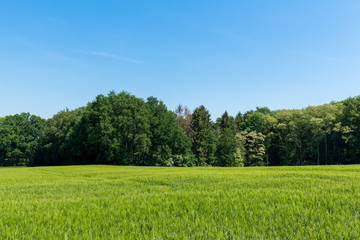 Fototapeta premium Foto 2018 von www.ChristianSchwier.de